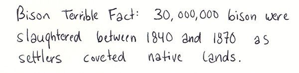 bisonterriblefact1